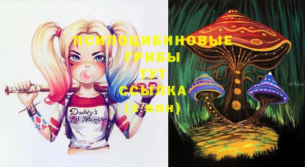 ГАЛЛЮЦИНОГЕННЫЕ ГРИБЫ Алзамай