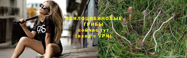спиды Алексеевка