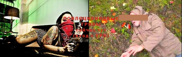 ГАЛЛЮЦИНОГЕННЫЕ ГРИБЫ Алзамай