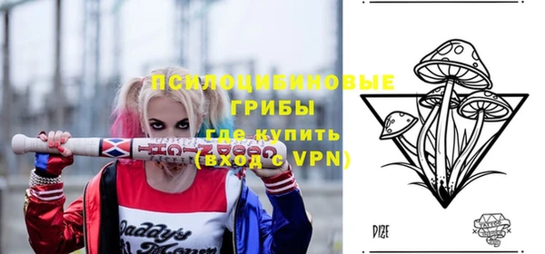 PSILOCYBIN Абаза